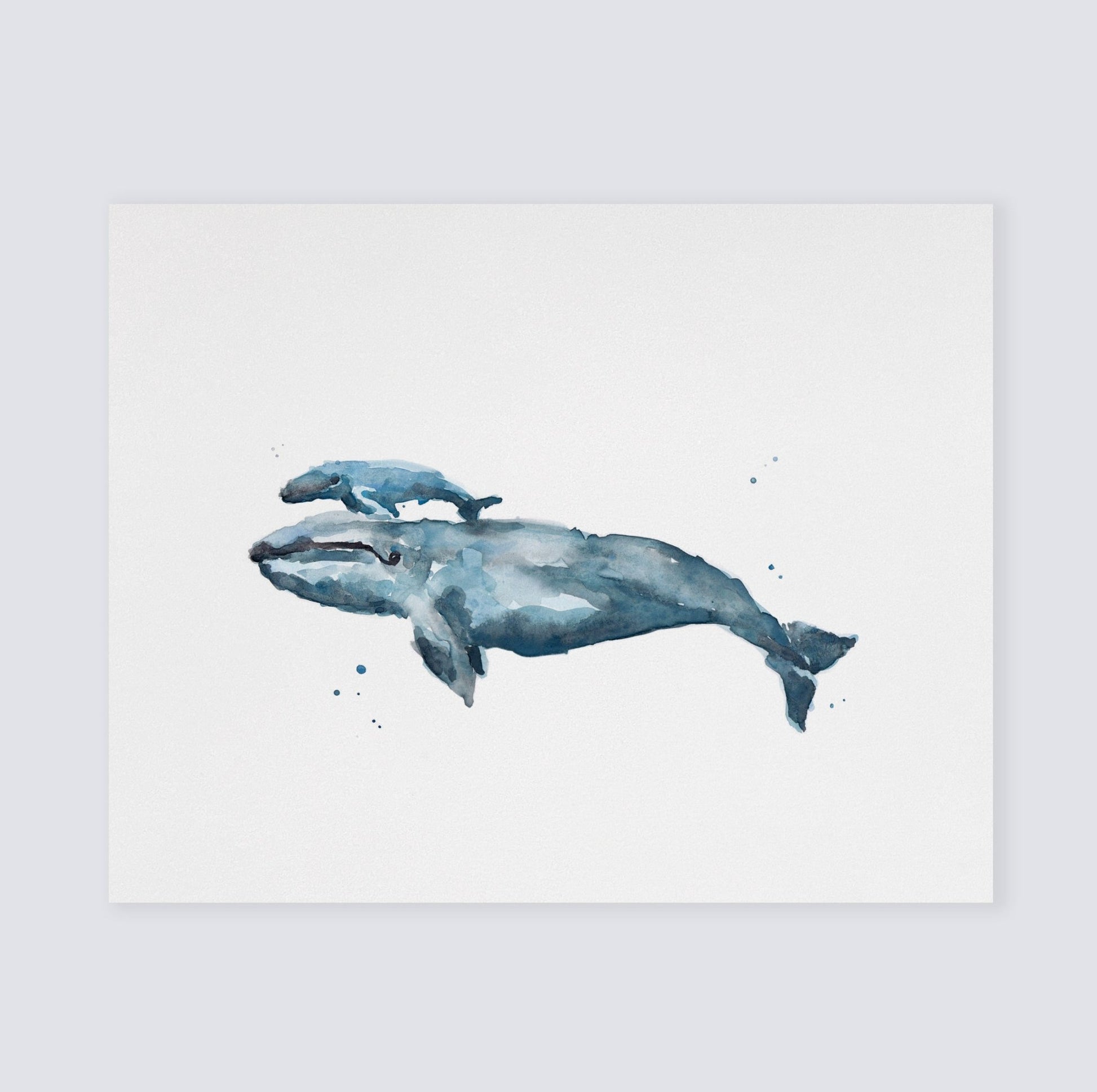 Whale and Baby Whale Calf Watercolor Art Print - Art Prints - Moon Rock Prints