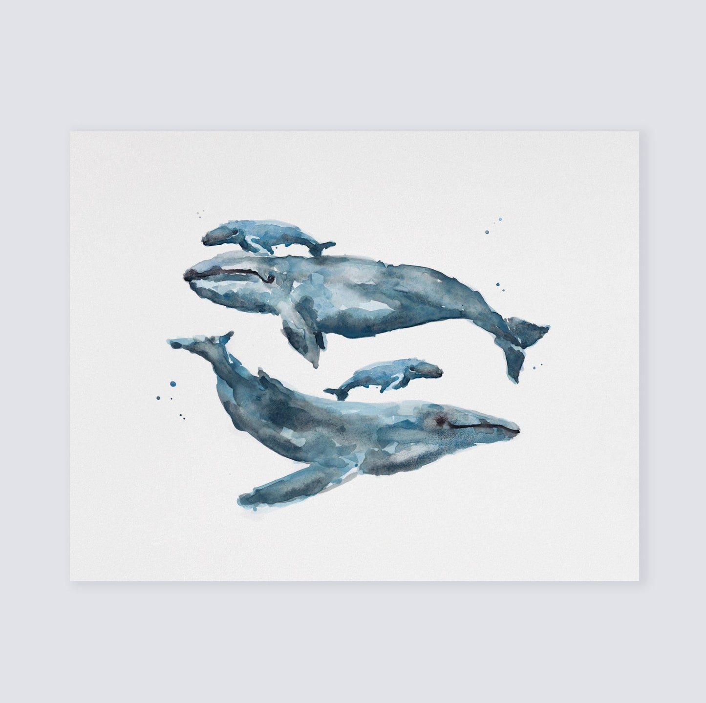 Whale Family of 4 Ocean Animal Watercolor Art Print - Art Prints - Moon Rock Prints