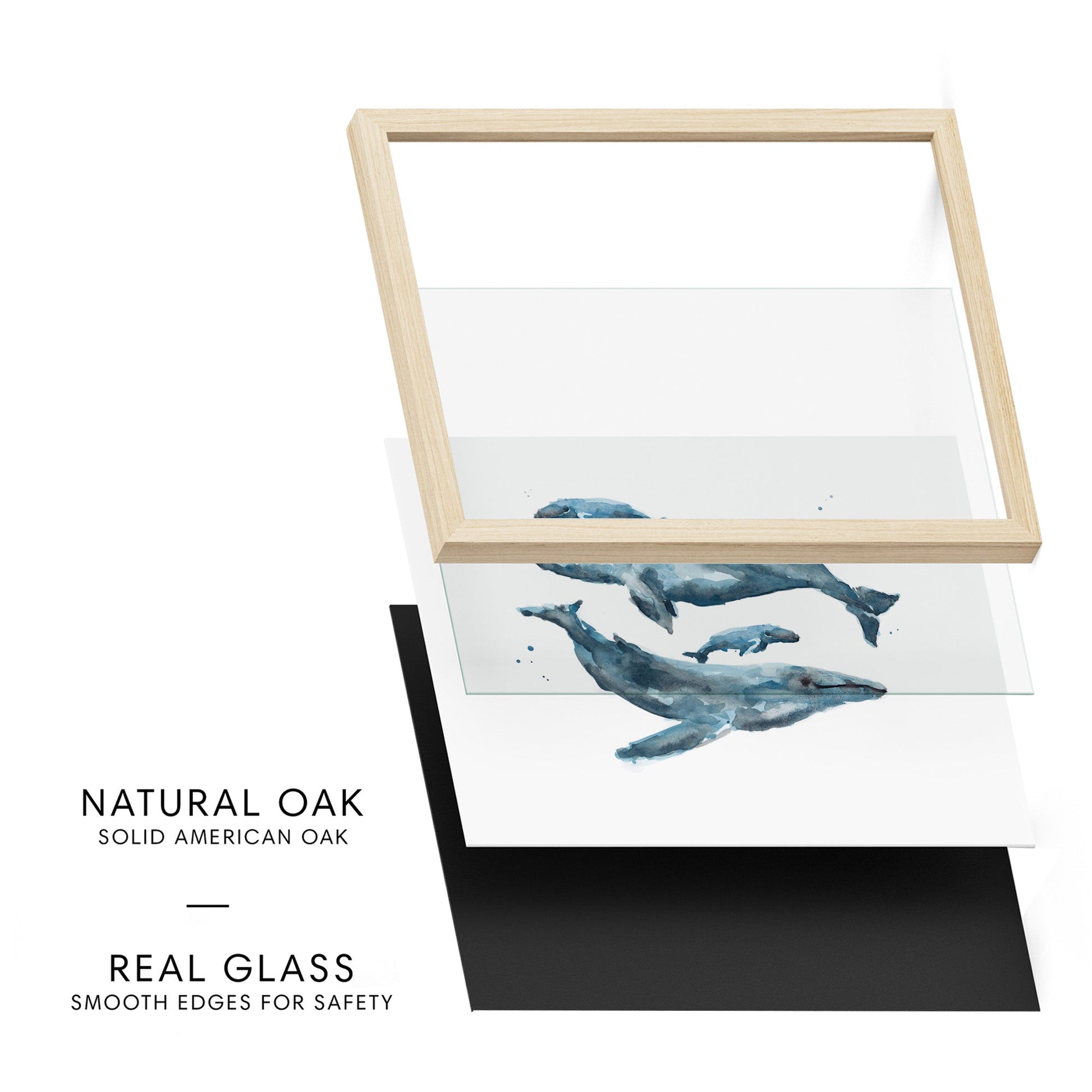 Whale Family of 4 Ocean Animal Watercolor Art Print - Art Prints - Moon Rock Prints