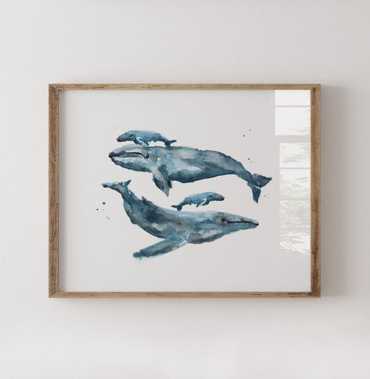 Whale Family of 4 Ocean Animal Watercolor Art Print - Art Prints - Moon Rock Prints