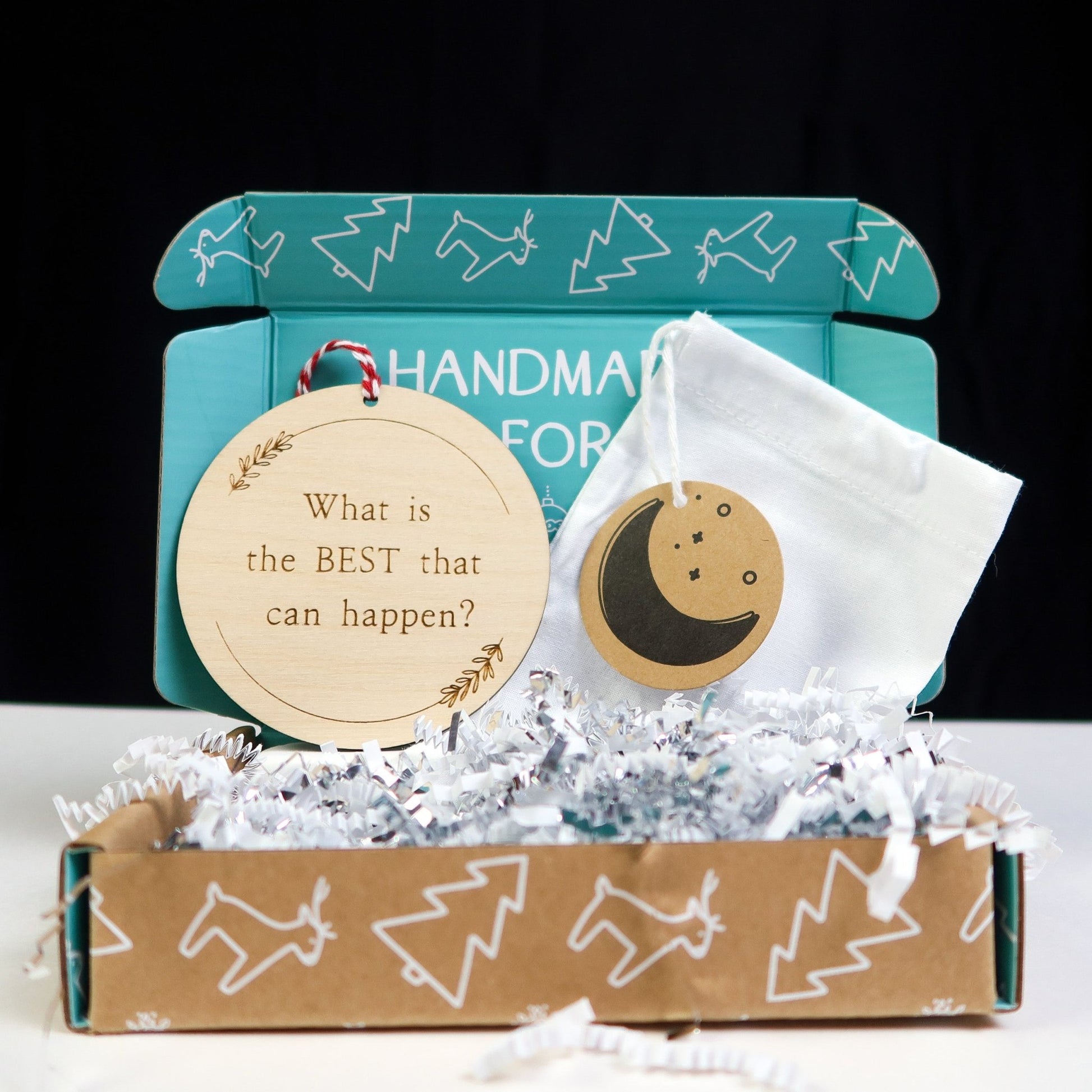 What is the Best That Could Happen Ornament - Holiday Ornaments - Moon Rock Prints