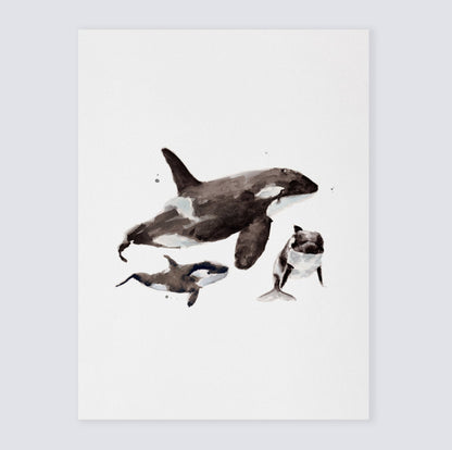 Baby Orcas & Parent Watercolor Print - Art Prints - Moon Rock Prints