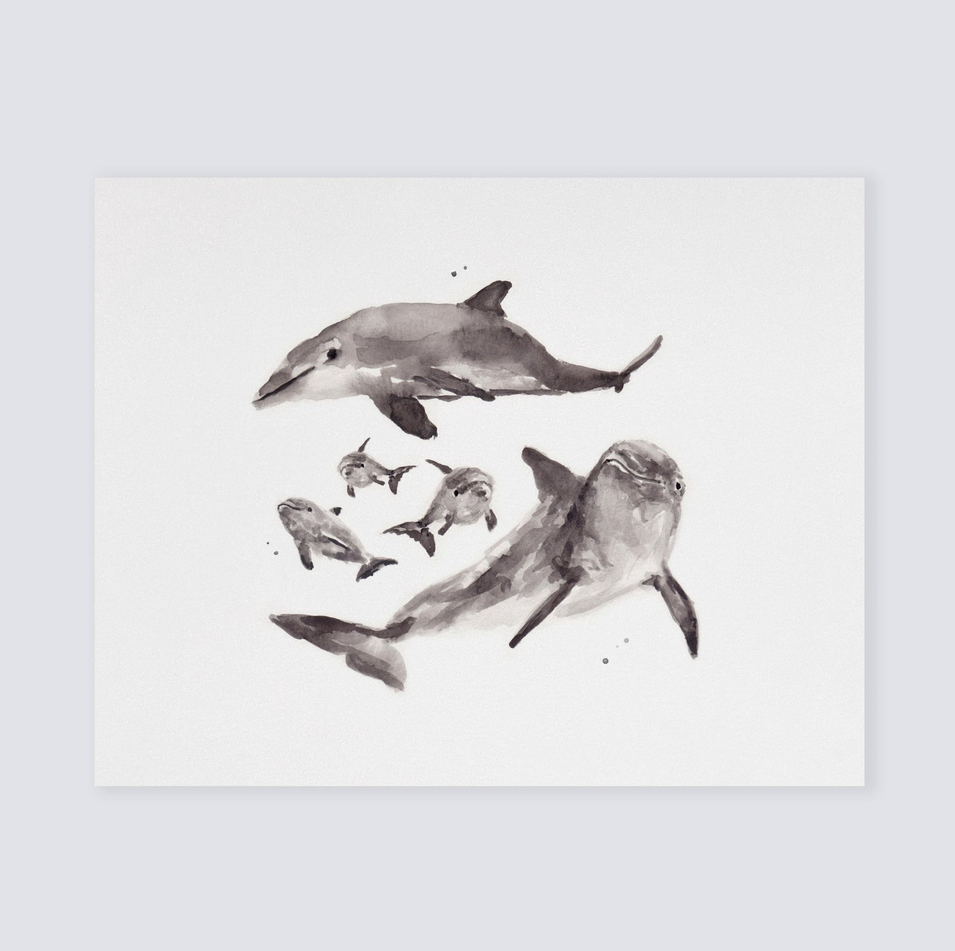 Dolphin Family Watercolor Print - Art Prints - Moon Rock Prints