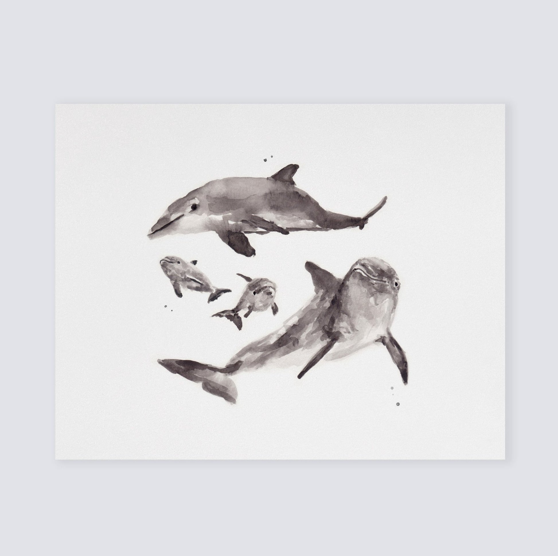 Dolphin Family Watercolor Print - Art Prints - Moon Rock Prints