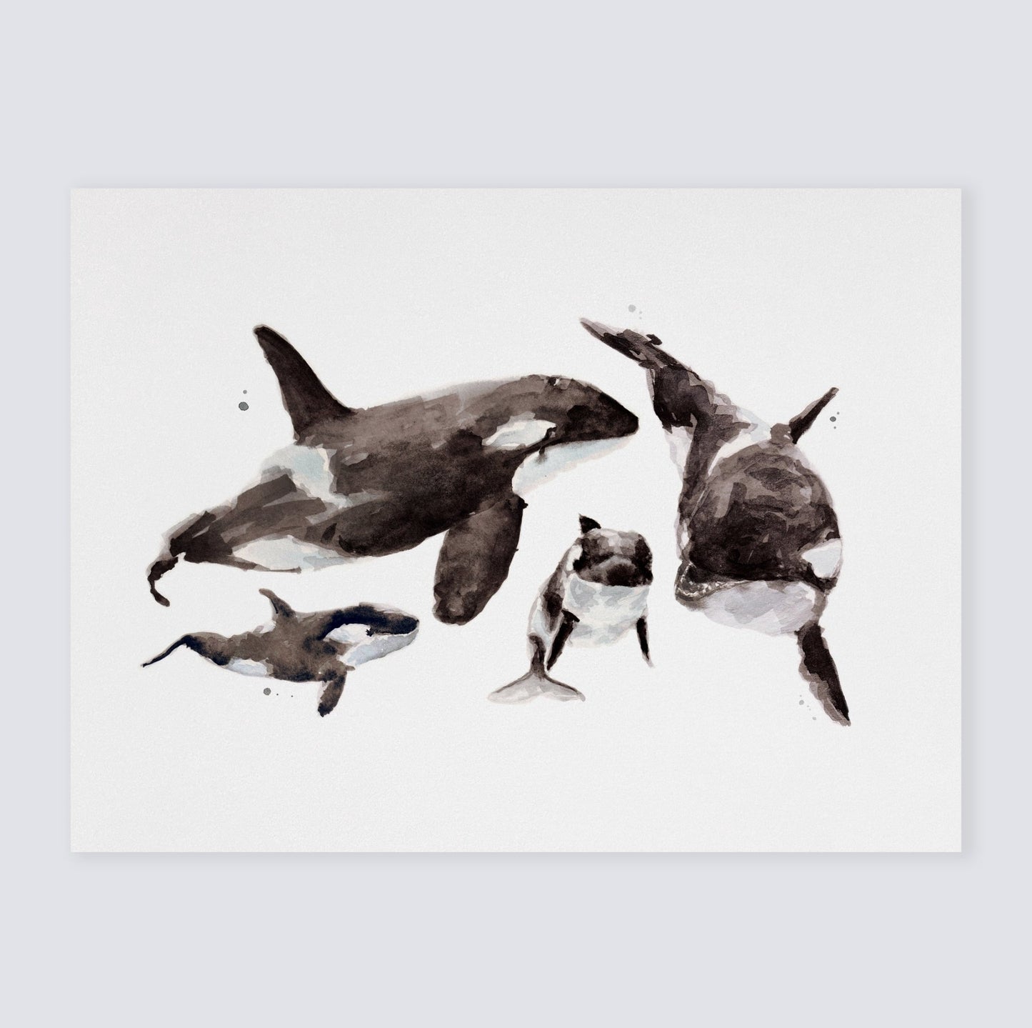Orca Watercolor Print Orca Nursery Art Ocean Animal Print